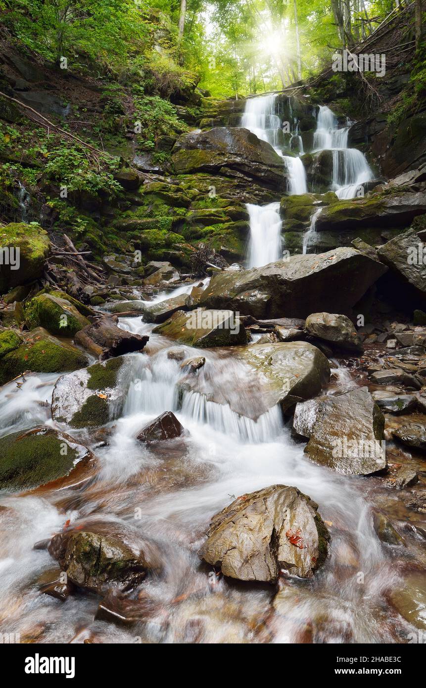 Wasserfall im Bergwald. Wasserfall Shipot, Karpaten, Ukraine Stockfoto