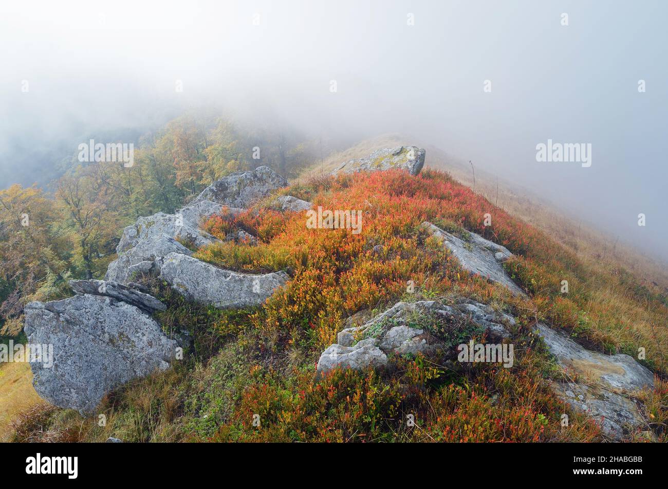 Nebel in den Bergen. Der Herbst kleidet Pflanzen. Rocky Ridge Stockfoto