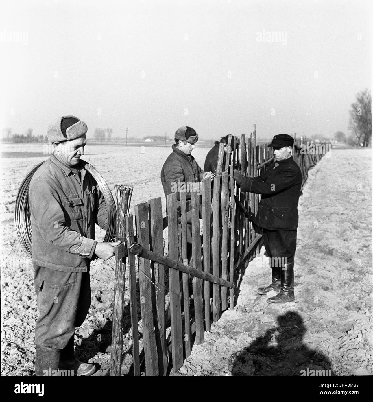 Polska, 1969-11. Drogowcy ustawiaj¹ p³oty, które maj¹ zapoiec zasypywaniu jezdni przez nawiewany z Pól œnieg. Ad PAP/Boles³aw Miedza Dok³adny dzieñ wydarzenia nieustalony. Polen, Den 1969. November. Straßenmänner errichten Zäune, um zu verhindern, dass Schnee von Feldern die Straße bedeckt. Ad PAP/Boleslaw Miedza Stockfoto