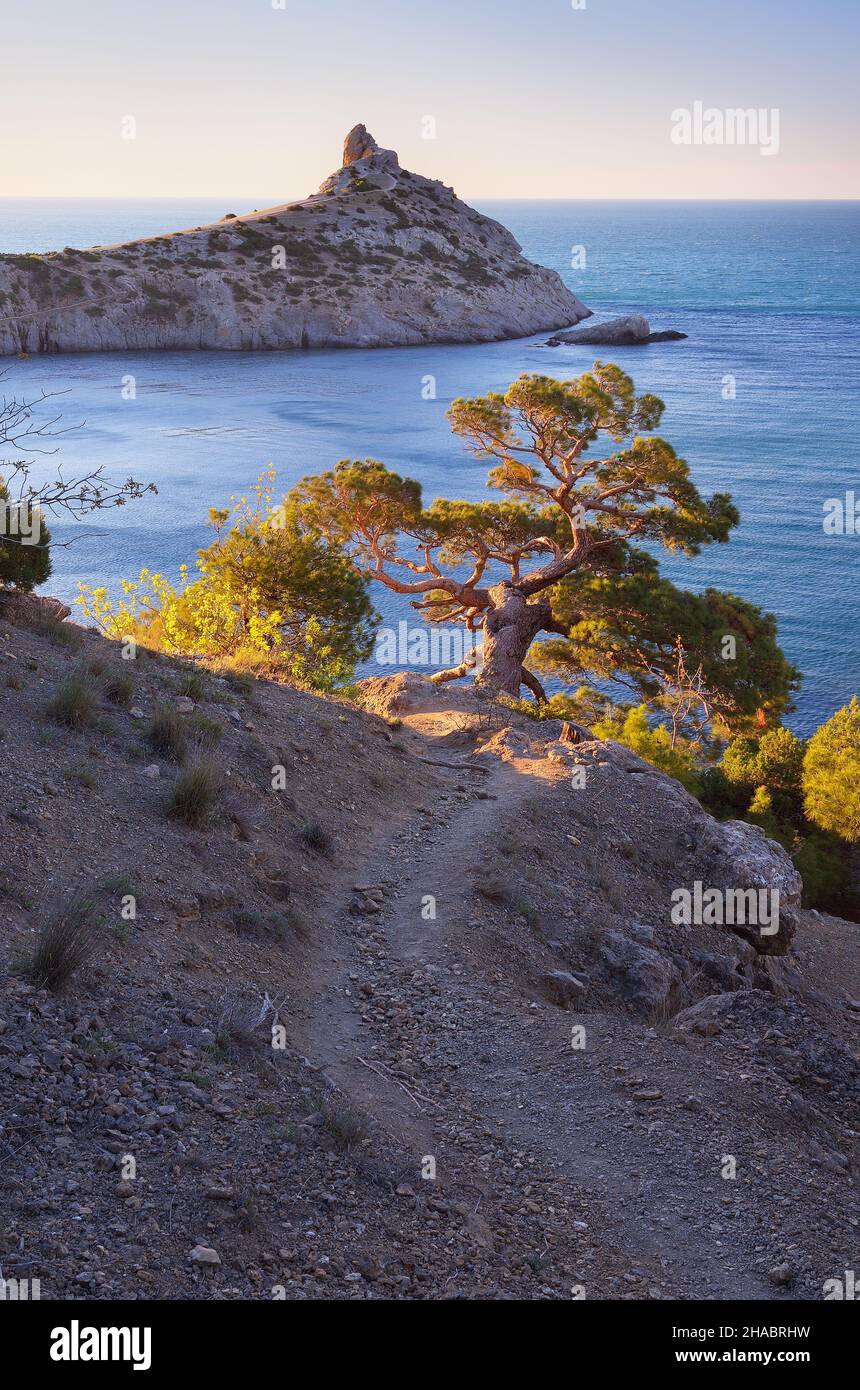 Landschaft mit einem Badeort. Blick vom Berg auf das Meer, Buchten und Kaps. Schönes Licht der Abendsonne. Halbinsel Krim. Ukraine, Eur Stockfoto