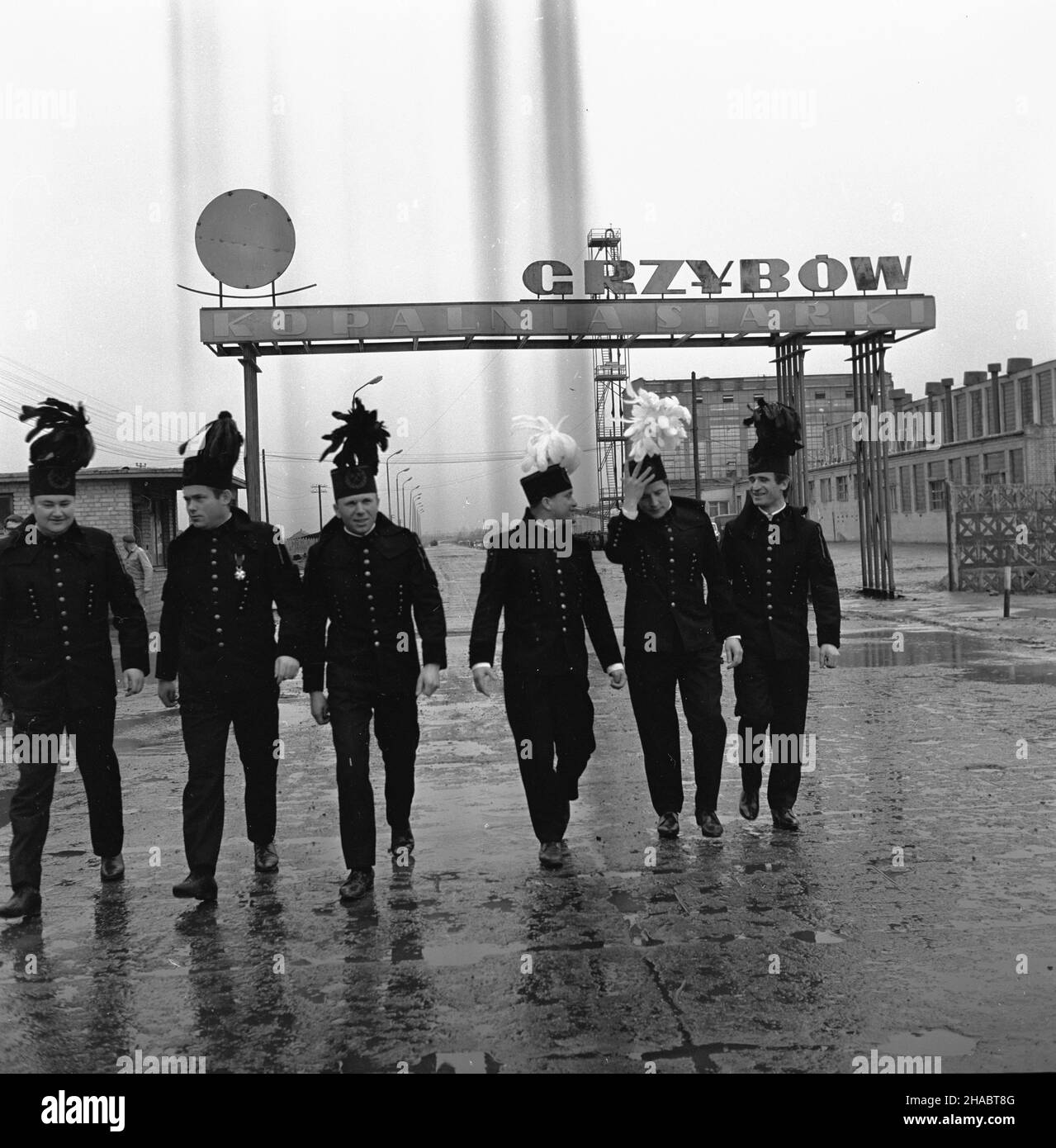 Rzêdów, 1969-11. Górnicy Kopalni Siarki Grzybów, którzy z pozosta³¹ za³og¹ wydobyli 100-tysiêczn¹ tonê siarki z nowo uruchomionego pola górniczego B. NZ. m.in. od prawej: Sztygar zmianowy pola B J. Sza³ankiewicz, œlusarz utrzymania ruchu W³. Sobieraj, kierownik robót górniczych pola B in¿. J. Krok. uu PAP/W³odzimierz Wawrzynkiewicz Dok³adny dzieñ wydarzenia nieustalony. Rzedow, November 1969. Bergleute der Sulphur Mine Grzybow, die zusammen mit ihren Kollegen die 100.00000th Tonnen Schwefel aus einem neu eröffneten B-Minenfeld extrahierten. Im Bild: Vorarbeiter J. Szalankiewicz und Bergmann WL. Sobieraj Stockfoto