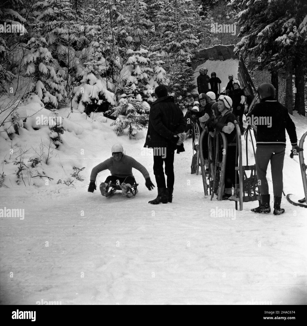 Zakopane, 1969-12-03. OD 2 XII 1969 r. kadra polskich saneczkarzy (seniorów i juniorów), pod kierunkiem Ryszarda Gurbowicza, trenowa³a na sztucznym torze, usypanym przez samych zawodników pod Krokwi¹. NZ. Kadra juniorów obserwuje œlizg zawodnika. pw PAP/Tadeusz Olszewski Zakopane, 3. Dezember 1969. Seit dem 2. Dezember 1969 führten die polnischen luger-Teams, sowohl Senior als auch Junior, unter der Leitung von Ryszard Gurbowicz Übungen auf der künstlichen Rodelbahn durch, die von den Wettbewerbern in der Nähe des Krokwia-Sprungs gemacht wurde. Im Bild: junior-Rennrodler während des Trainings. pw PAP/Tadeusz Olszewski Stockfoto