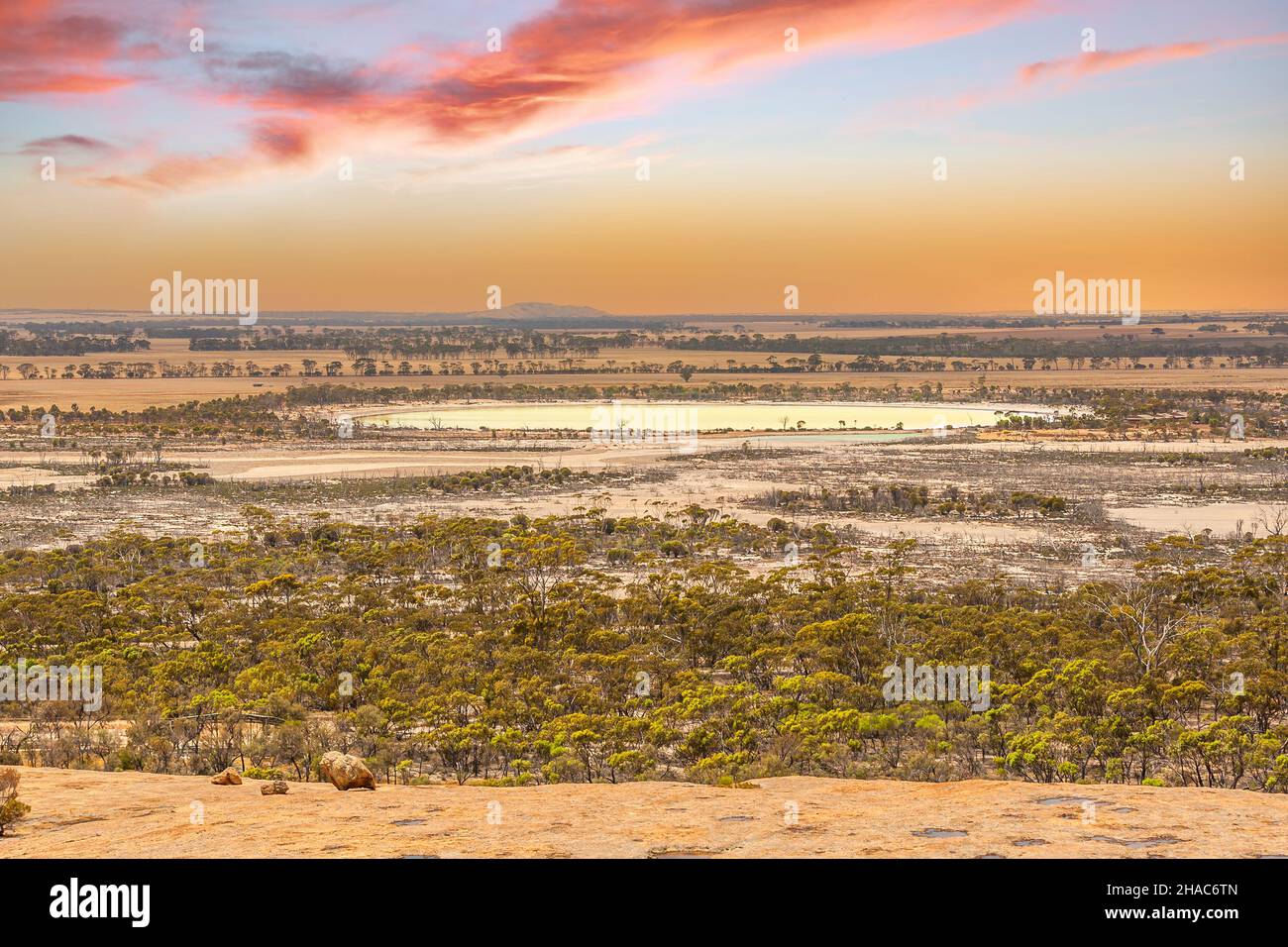 Australische Outback-Landschaft in der Nähe von Hyden Westaustralien vom Wave Rock in Richtung Lake Magic und am Horizont die Buckel mit verstreuten Bäumen Stockfoto