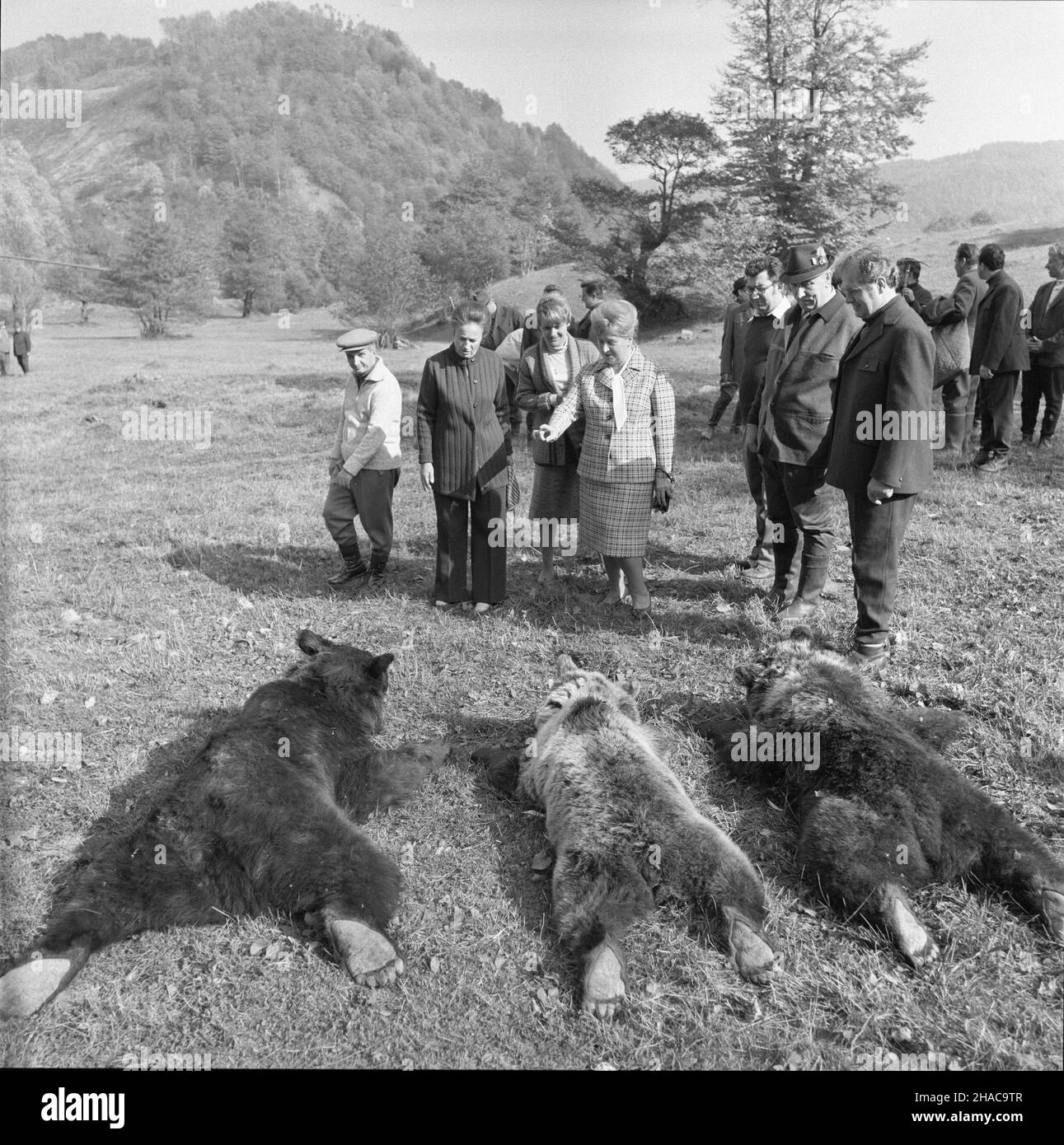 Rumunia 10,1976. I sekretarz KC PZPR Edward Gierek podczas wizyty w Rumunii wzi¹³ udzia³ w polowaniu w Karpatach. NZ. m.in. Sekretarz generalny RPK Nicolae Ceausescu (L) i jego ¿ona Elena (2L), Stanis³awa Gierek (4L), Edward Gierek (6L). meg PAP/Jan Morek Dok³adny dzieñ wydarzenia nieustalony. Rumänien, Oktober 1976. Edward Gierek (6-L), erster Sekretär des Zentralkomitees der Vereinigten Polnischen Arbeiterpartei, seine Frau Stanislawa Gierek (4-L), der Generalsekretär der Kommunistischen Partei Rumäniens Nicolae Ceausescu (L) und seine Frau Elena Ceausescu (2-L) bei einem Picknick während einer Pause in Huntin Stockfoto