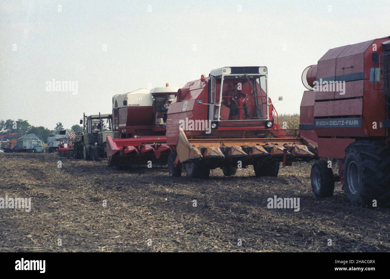 Wêgry Babolna 10,1984. Wystawa maszyn rolniczych. NZ. m.in. Kombajn zbo¿owy Deutz Fahr M 1630 H. ka PAP/Tadeusz ZagoŸdziñski Dok³adny dzieñ wydarzenia nieustalony. Ungarn, Babolna, Oktober 1984. Eine Ausstellung von landwirtschaftlichen Maschinen. Im Bild unter anderem: Der Deutz Fahr M 1630 H Mähdrescher ka PAP/Tadeusz Zagozdzinski Veranstaltungstag unbekannt Stockfoto