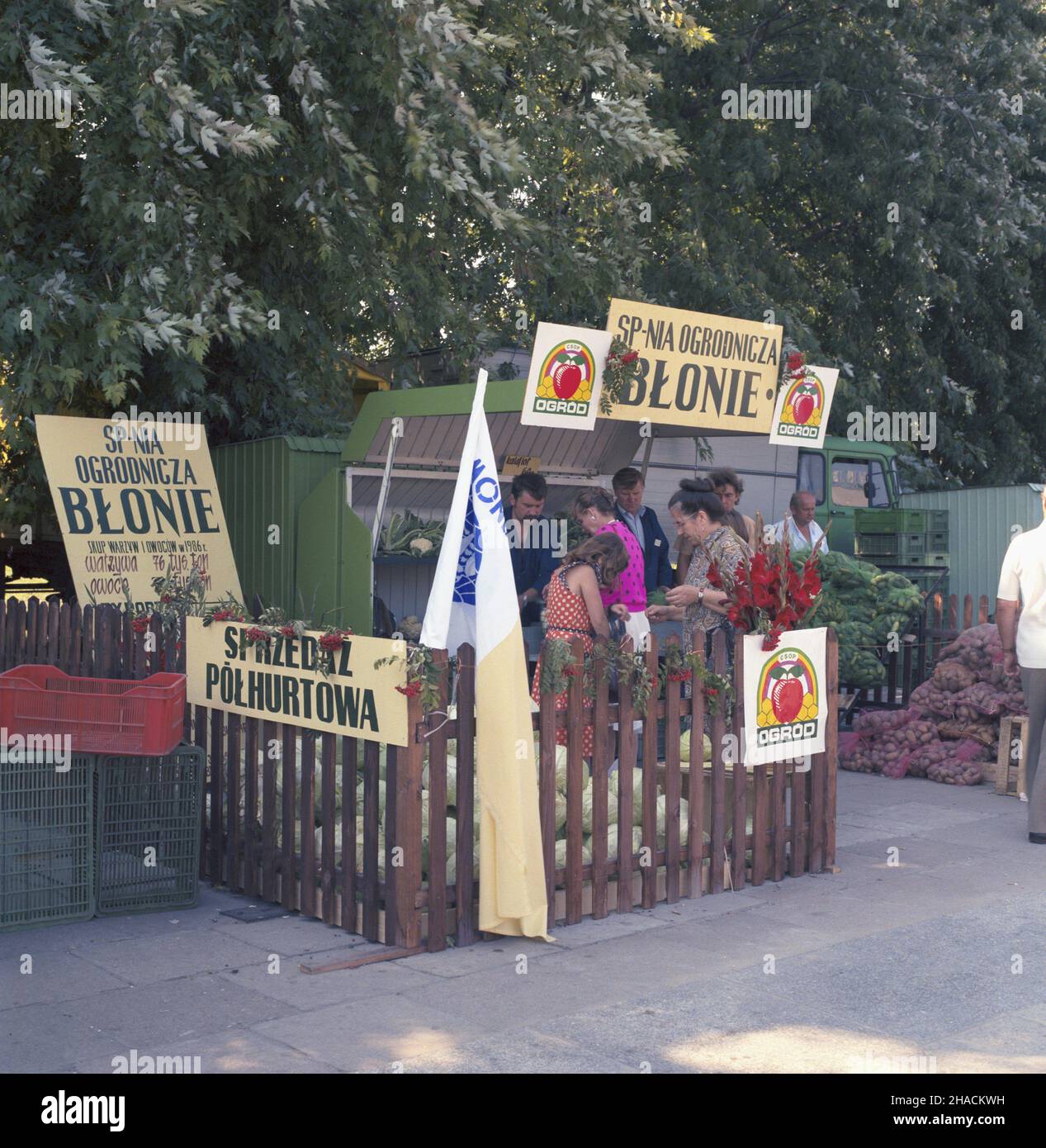 Warszawa 06,1987. Kiermasz w dniach 19-21 czerwca przy Pa³acu Kultury i Nauki zorganizowany z okazji obchodów Œwiêta Trybuny Ludu, organu prasowego Polskiej Zjednoczonej Partii Robotniczej. NZ. Stoisko Spó³dzielni Ogrodniczej B³onie. uu PAP/Tadeusz ZagoŸdziñski Dok³adny dzieñ wydarzenia nieustalony. Warschau Juni 1987. Eine Messe in der Nähe des Kultur- und Wissenschaftspalastes, die vom 19. Bis 21. Juni anlässlich der Tage von Trybuna Ludu, einem Presseorgan der Polnischen Vereinigten Arbeiterpartei, organisiert wurde. Im Bild: Ein Stand der Gartenkooperative Blonie. uu PAP/Tadeusz Zagozdzinski Veranstaltungstag unkno Stockfoto