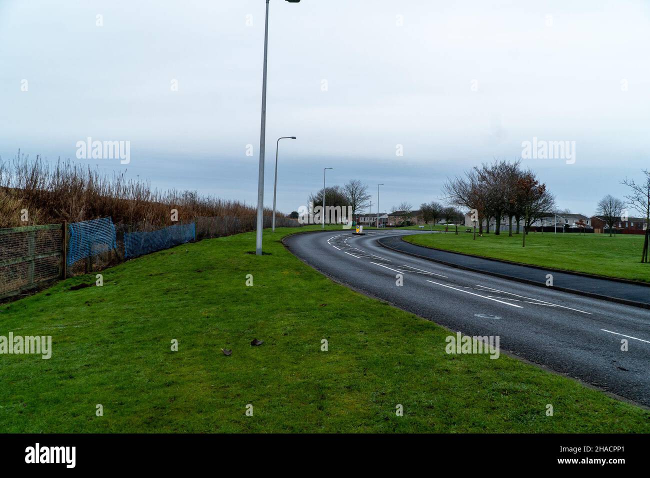 Newhame Rd, Montrose, Angus, Schottland, 12th vom 2021. Dezember: Bild: Die Nachwirkungen eines ernsthaften RTC, bei dem eine Hündin getötet wurde, als ein Auto die Kontrolle über die scharfe Kurve der Newhame Rd verlor, den Straßenbelag aufbog, die Hündin-Geherin schlug und dann in den Bahndamm stürzte. Der tödliche RTC ereignete sich um 8,20pm Uhr am Samstag, dem 11th. Dezember 2021. Gelbe Markierungen auf der Straße stammen von der Polizei und veranschaulichen den Weg, den das Auto eingeschlagen hat. Mitglieder der Öffentlichkeit wurden gesehen, um Blumen in einem Zeichen des Respekts für die Frau zu legen, die starb.Quelle:Barry Nixon/Alamy Live News Stockfoto