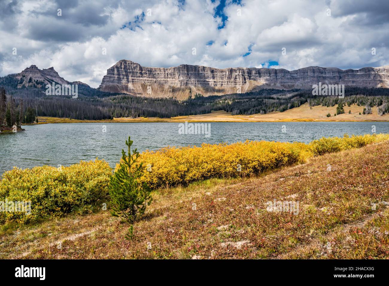 Breccia Cliffs, Sublette Peak auf der linken Seite, Herbstfarben am Brooks Lake, Absaroka Range, Rocky Mountains, Shoshone National Forest, Wyoming, USA Stockfoto