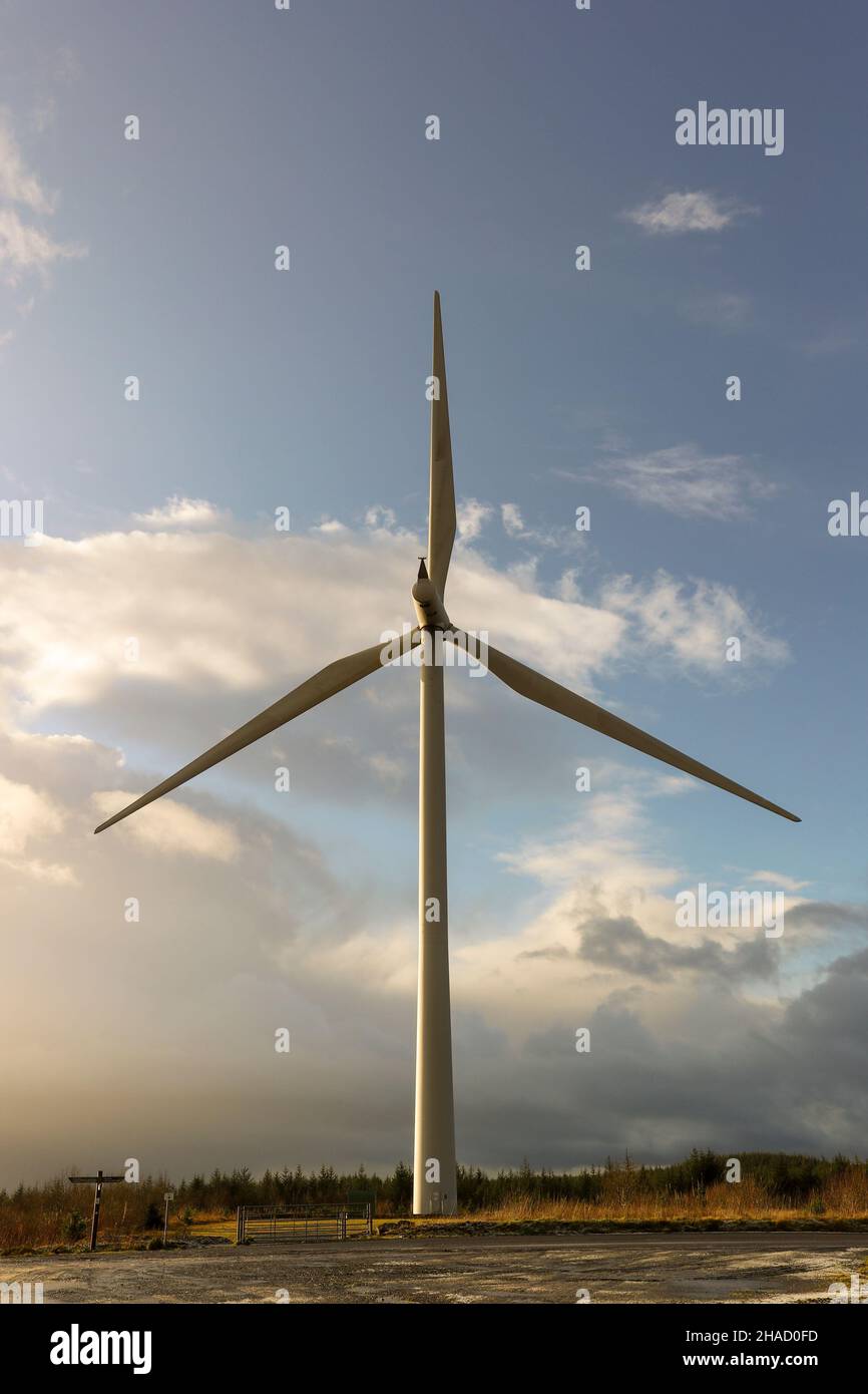 Windturbinen im Windpark Whitelee, Eaglesham Moor, in der Nähe von Eaglesham, Glasgow, Schottland, VEREINIGTES KÖNIGREICH Stockfoto