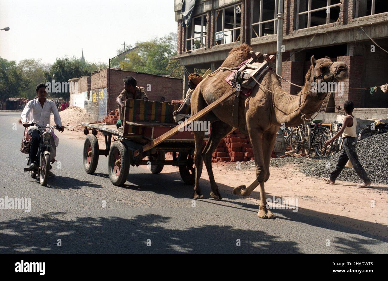 Indie Ahmedabad 06.03.1994. Ruch uliczny. js PAP/Janusz Mazur Ahmedabad, Indien, 06. März 1994. Ein Kamel mit Kutsche auf einer Straße in Ahmedabad in Indien. PAP/JANUSZ MAZUR Stockfoto