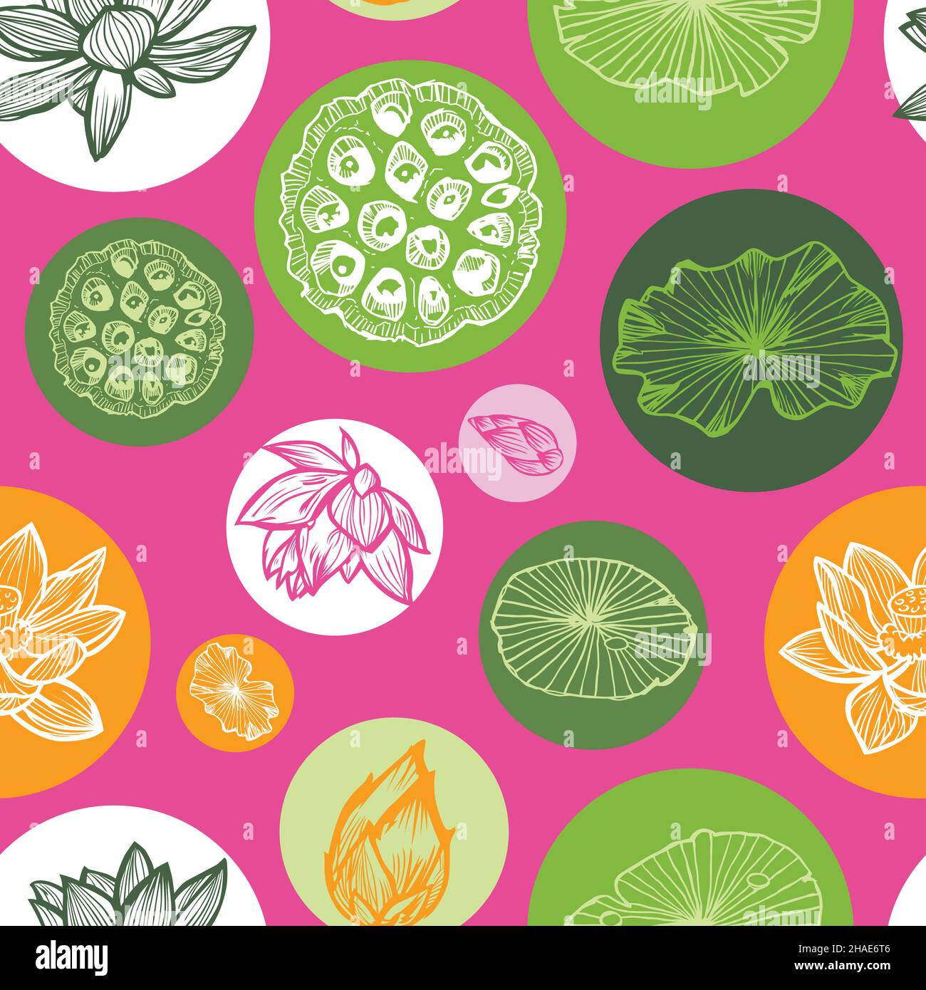 Vektor rosa bunte Lotus tropischen Blumen und Seerose Pads Samenkapseln in Kreisen wiederholen Muster. Geeignet für Textilien, Geschenkpapier und Tapeten. Stock Vektor