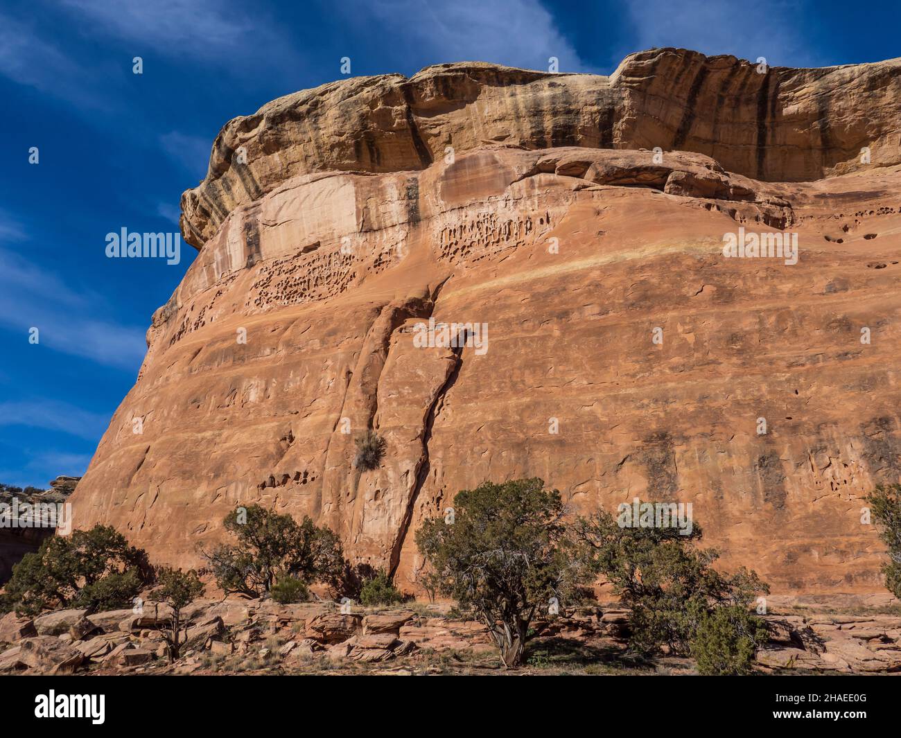 Canyon Walls, D4 Loop Trail, Fruita Front Country, McInnis Canyons National Conservation Area in der Nähe von Fruita, Colorado. Stockfoto