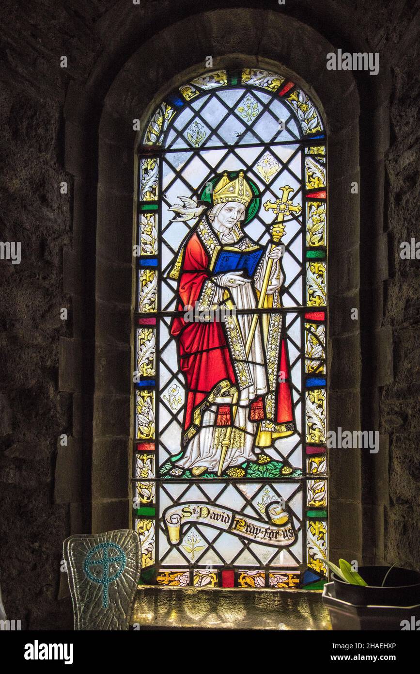 Buntglasfenster von St. David, Kapelle unserer Lieben Frau und St. Non, Pembrokeshire,. Wales, Großbritannien Stockfoto