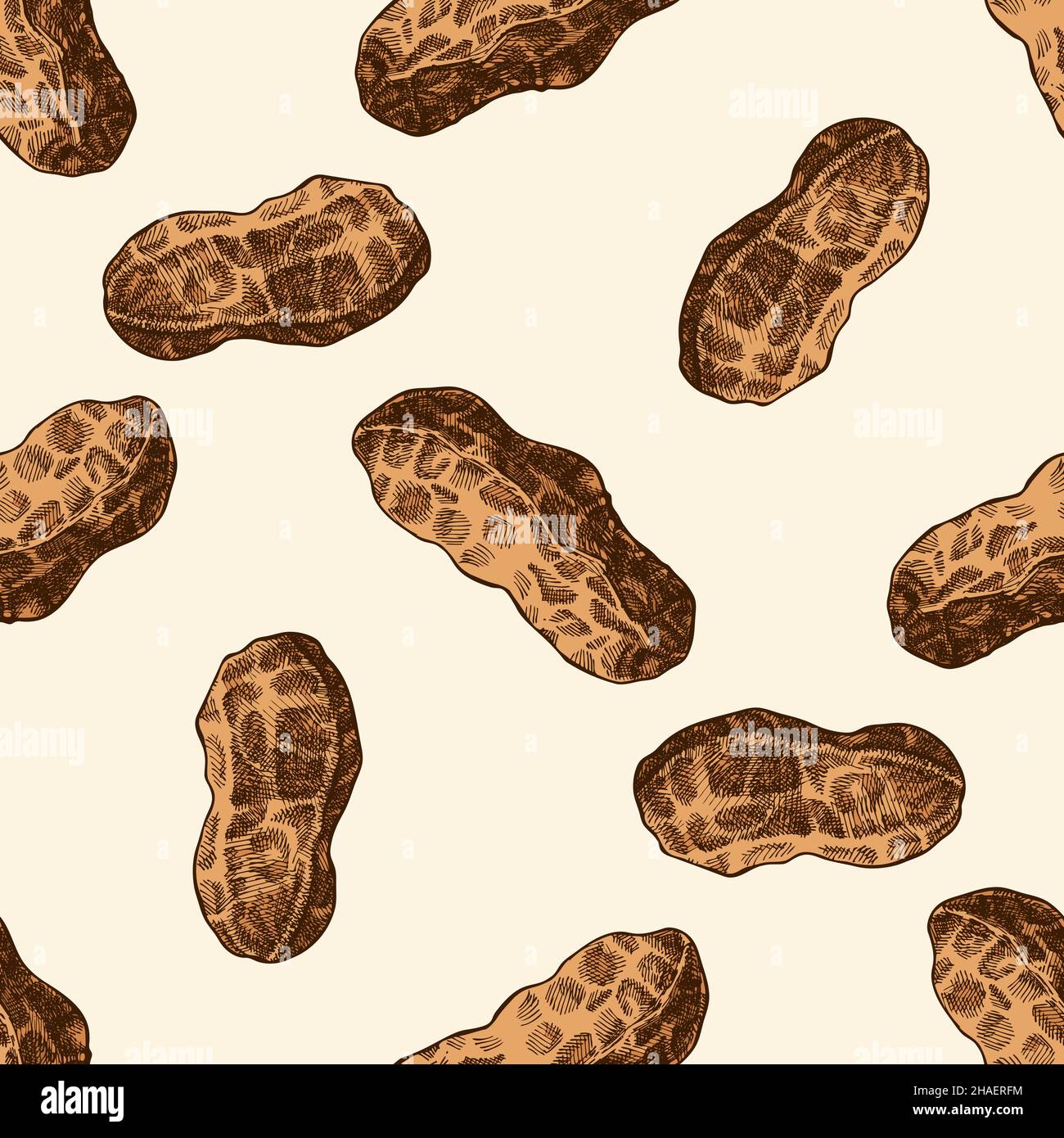 Nahtloses Muster mit handgezeichneter, farbiger Erdnuss Stock Vektor