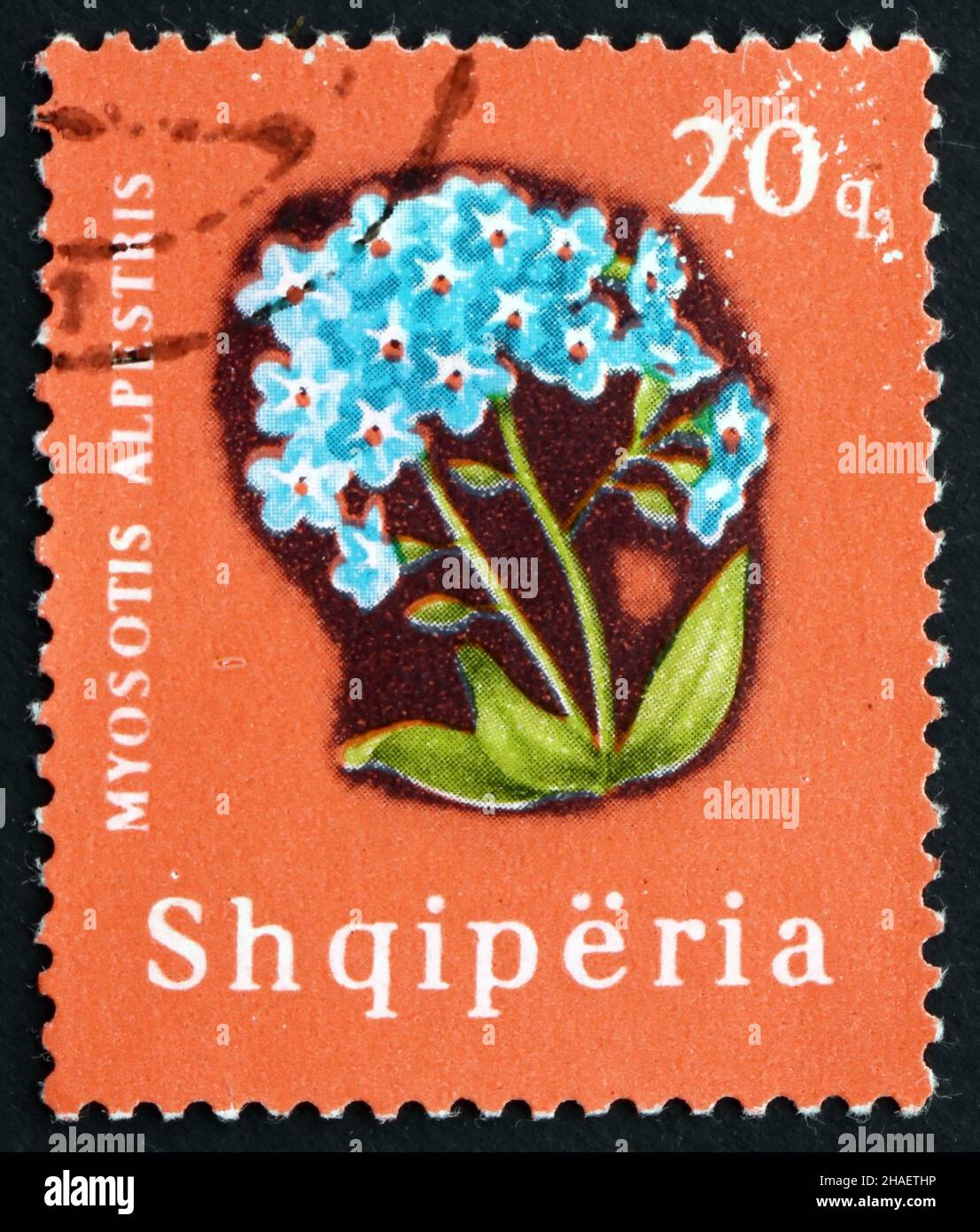 ALBANIEN UM 1965 Eine in Albanien gedruckte Marke zeigt Alpine