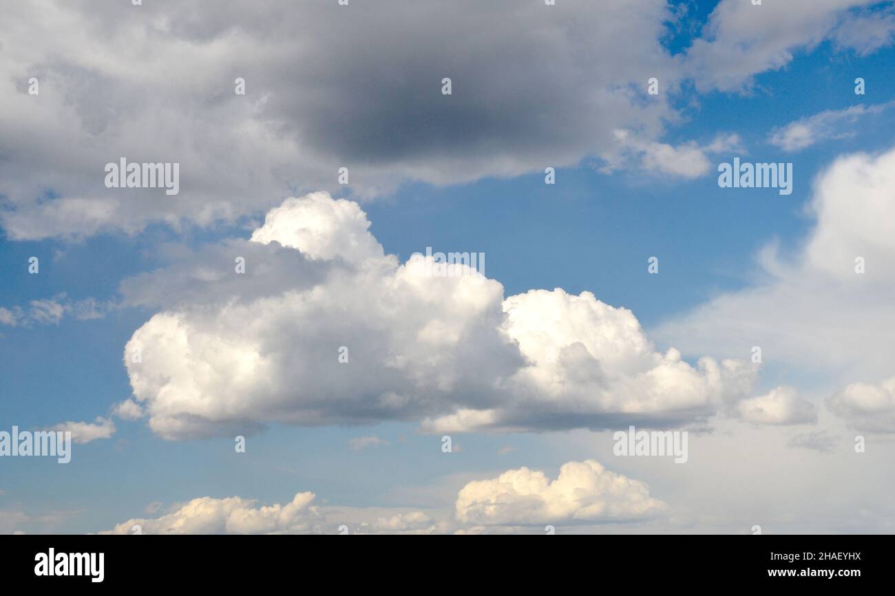 Weiße, flauschige Wolken und dunkle Regenwolken am tiefblauen Himmel, Wolkenhintergrund, natürliches Himmelfoto Stockfoto