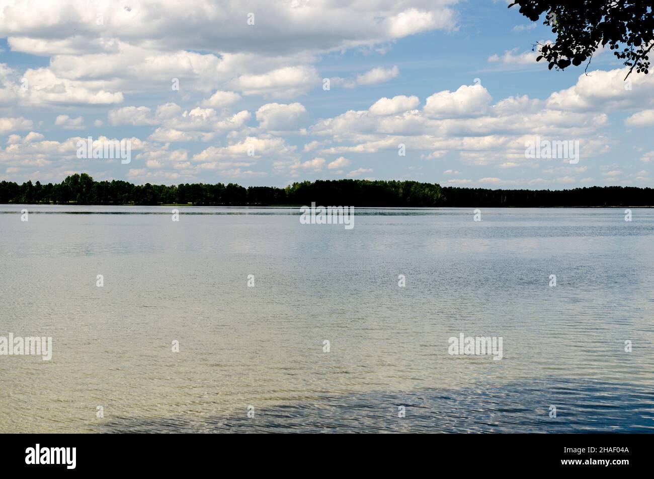 Sommer Fluss Hintergrund, natürliche Fototapete, reines Wasser und weiße Wolken in den tiefblauen Sommerhimmel Stockfoto