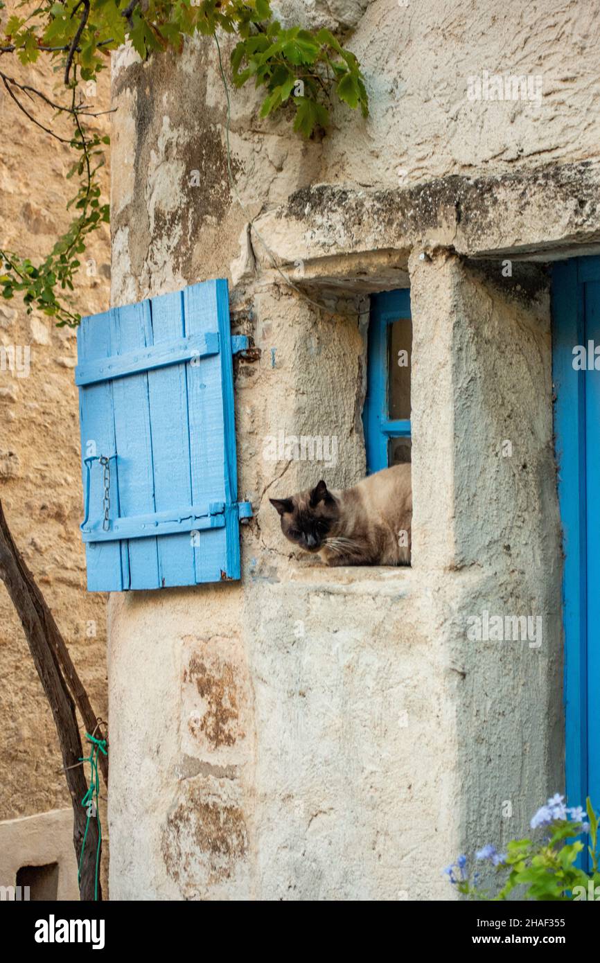 Blaue Eingangstür auf einem kleinen Dorfhäuschen in Frankreich Stockfoto