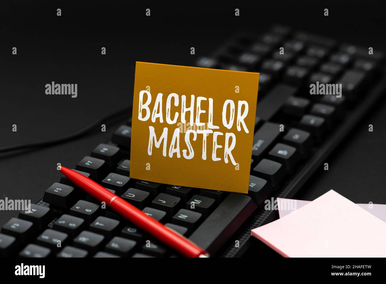 Schild mit Bachelor Master. Business Showcase ein fortgeschrittener