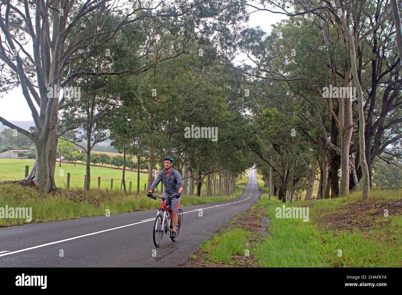 Radfahren im Hunter Valley Stockfoto