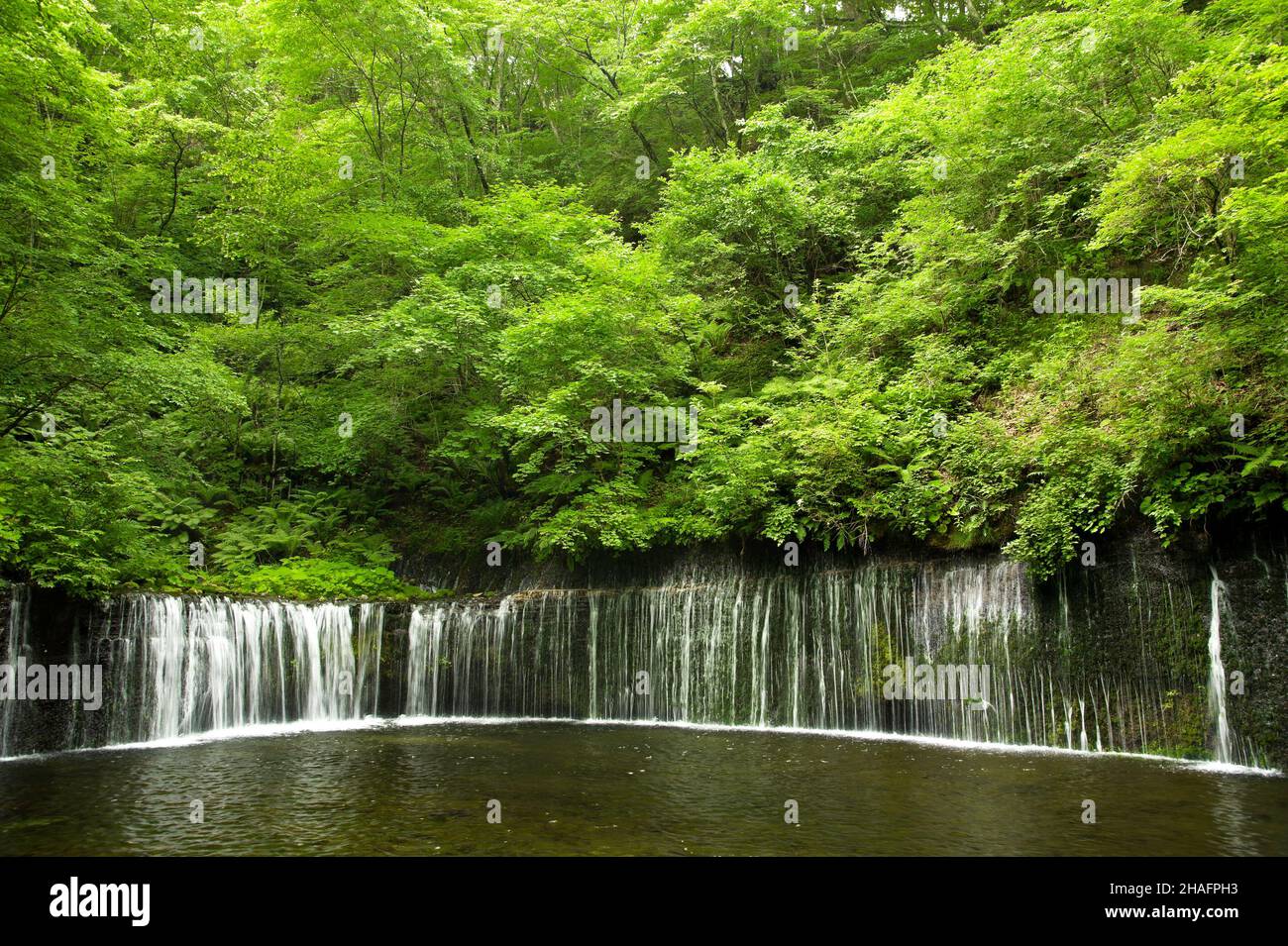 Shiraito Wasserfall in der Nähe von Karuizawa in der Präfektur Nagano, Japan Stockfoto