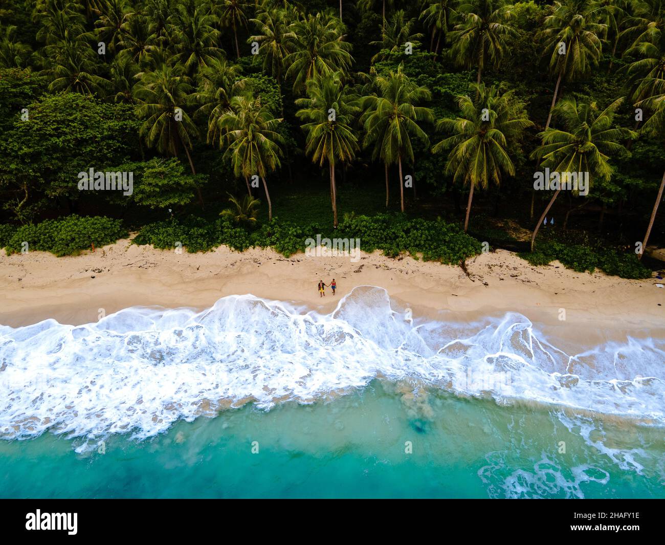Freedom Beach in Phuket Thailand. Tropischer Strand mit Palmen und ...
