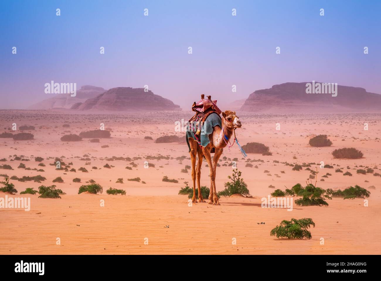 Wadi Rum, Jordanien. Jabal al Kharaz, Weltwunder in der Wüste Valley of the Moon of Arabia Stockfoto