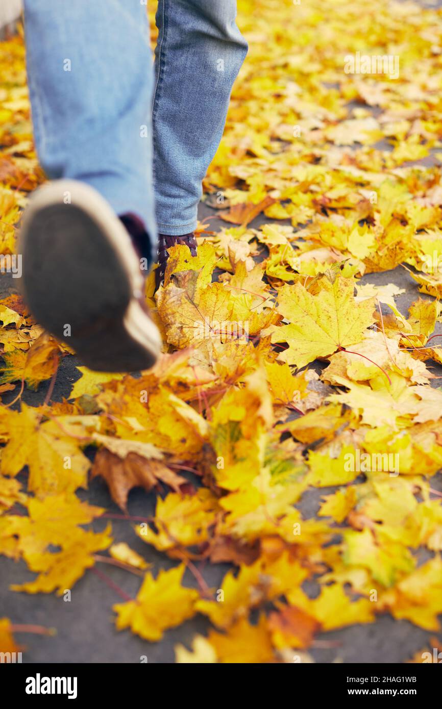 Ein Mann in Turnschuhen geht auf dem gelben Herbstlaub in der Stadt spazieren. Stockfoto