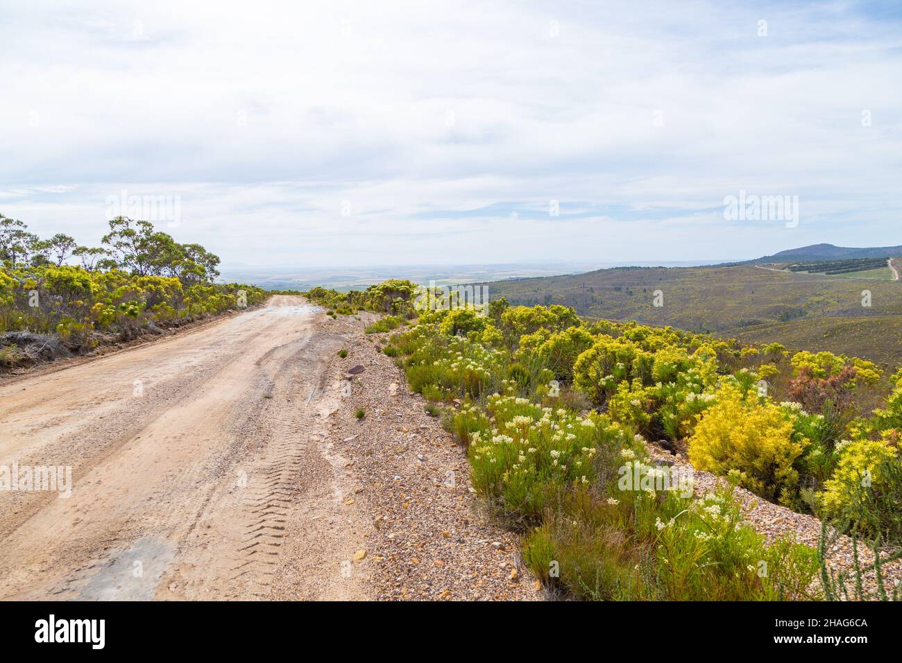Landschaft entlang einer Schotterstraße südlich von Napier im westlichen Kap von Südafrika Stockfoto