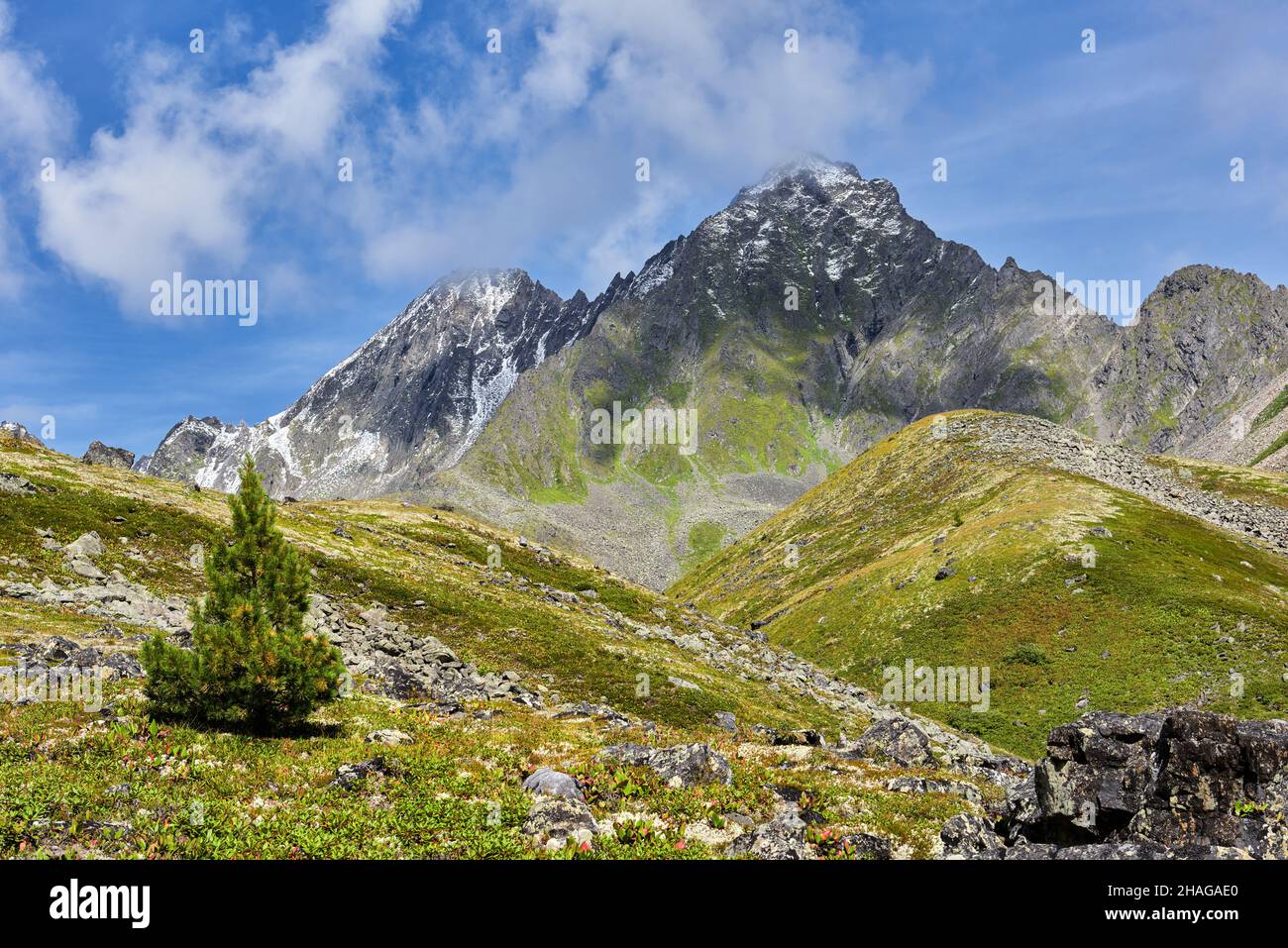Alpine Tundra in den Bergen Ostsibiriens. Schönes Wetter im August. Russland Stockfoto