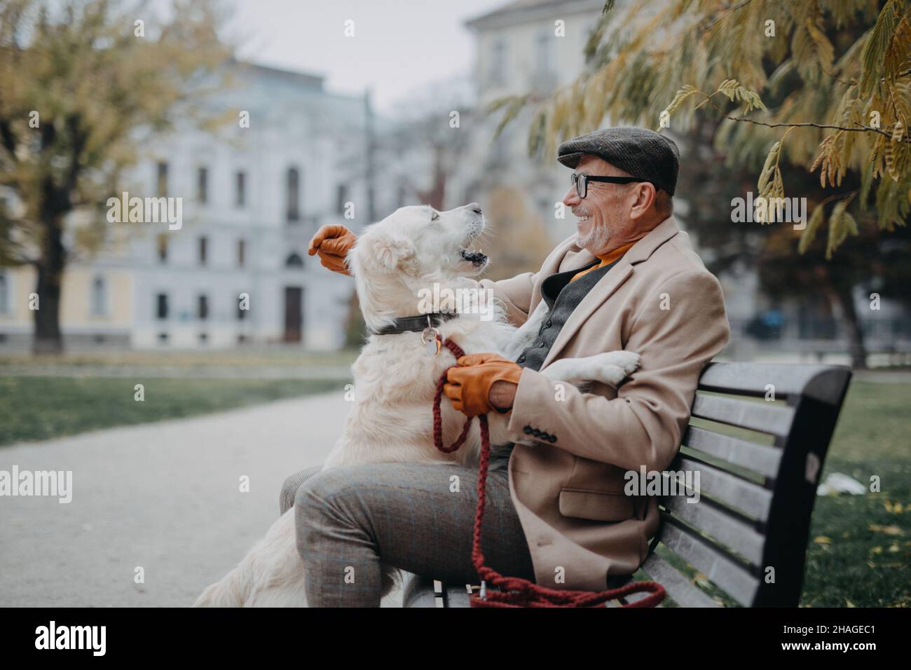 Glücklicher älterer Mann, der auf der Bank sitzt und sich während eines Hundespaziergangs im Freien in der Stadt ausruht. Stockfoto