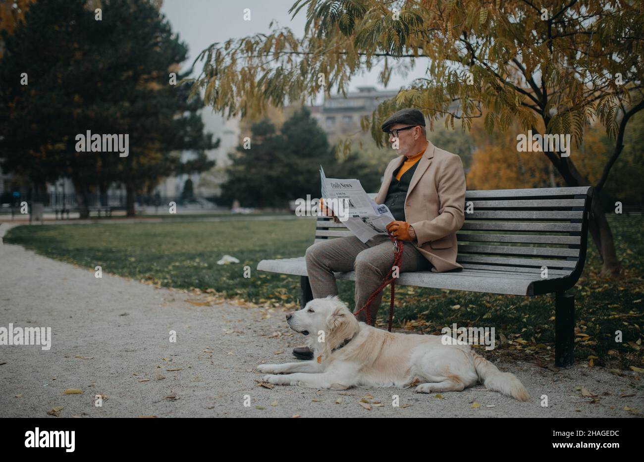 Glücklicher älterer Mann, der auf der Bank sitzt und Zeitung liest, während er im Park in der Stadt im Freien spazieren geht. Stockfoto