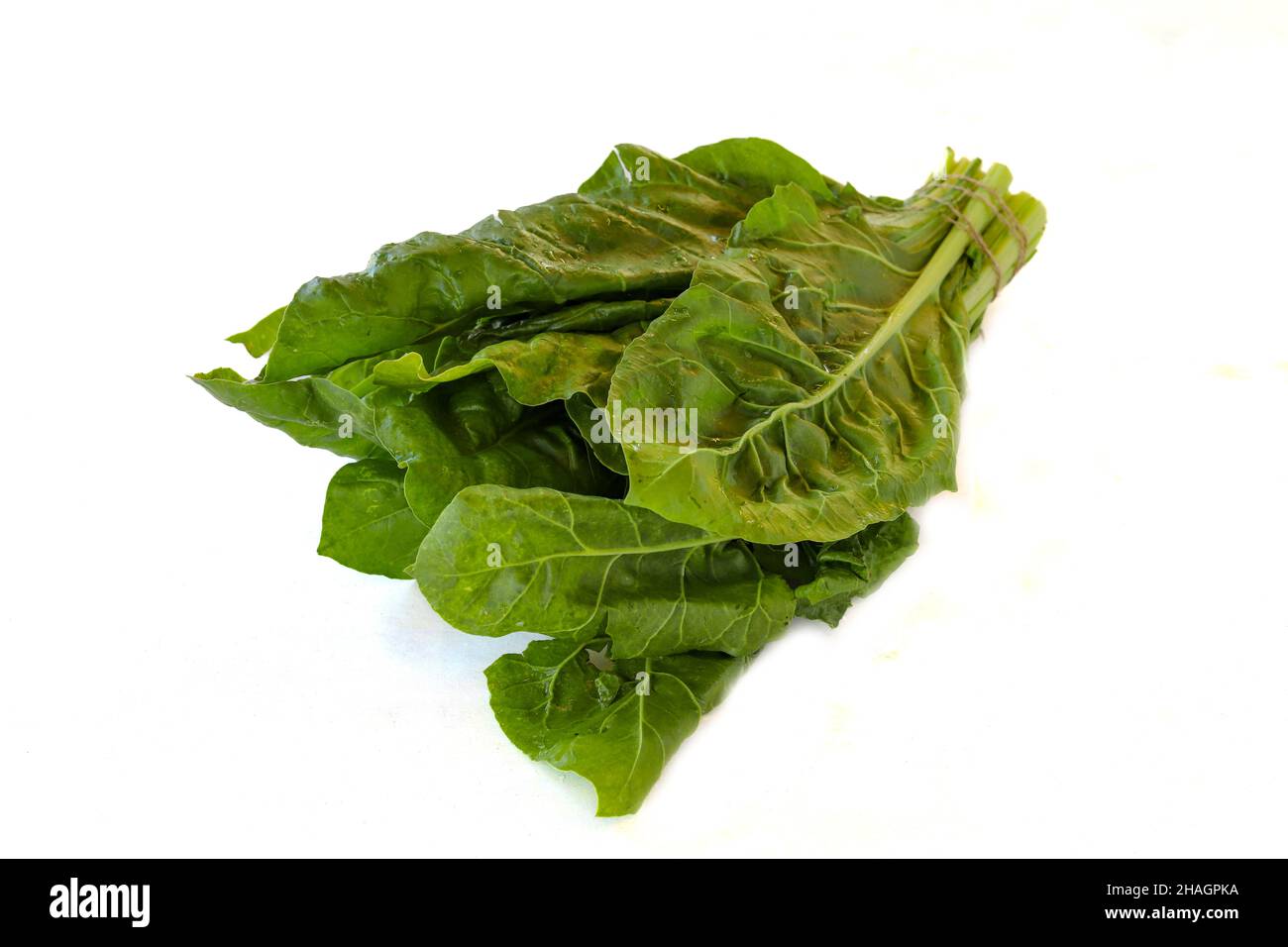 Mangold isoliert auf Weiß. Close-up-Mangold. Bio-Lebensmittel Stockfoto