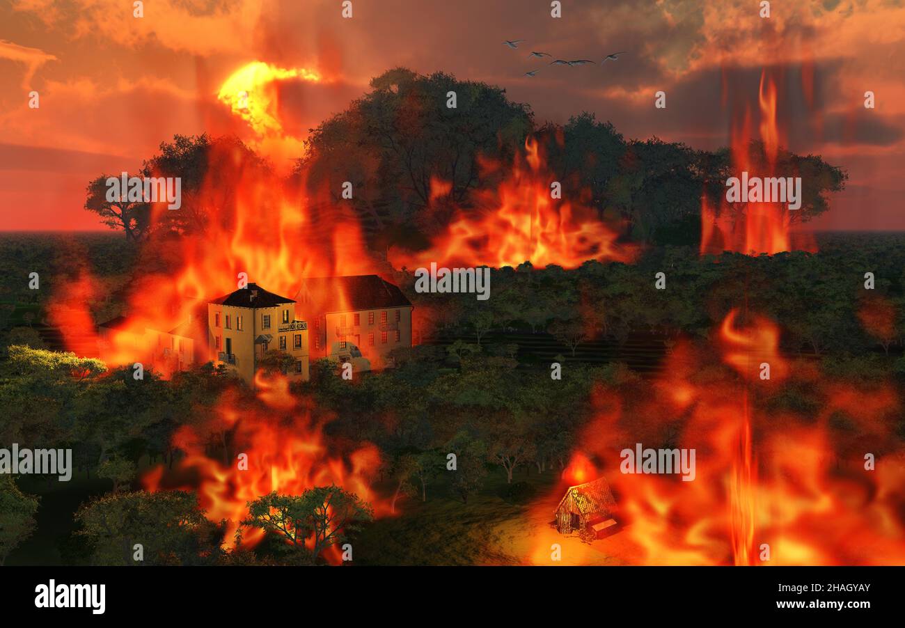 Waldbrand Stockfoto