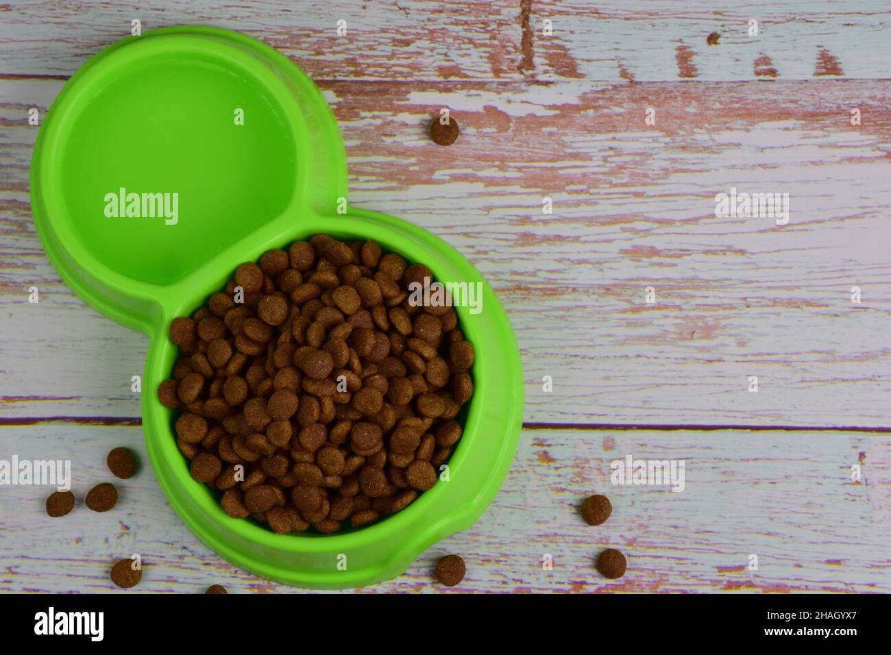 Vor einem Hintergrund aus grauen Holzbrettern liegt eine grüne Kunststoffplatte, gefüllt mit Trockenfutter, um Katzen oder Hunde zu füttern. Es gibt einen Platz auf der rechten Seite Stockfoto