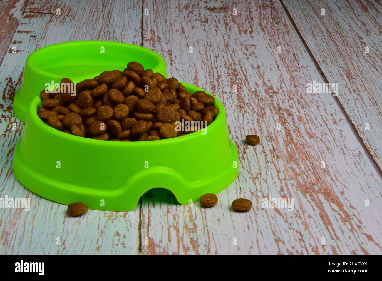 Vor einem Hintergrund aus grauen Holzbrettern liegt eine grüne Kunststoffplatte, gefüllt mit Trockenfutter, um Katzen oder Hunde zu füttern. Es gibt einen Platz auf der rechten Seite Stockfoto