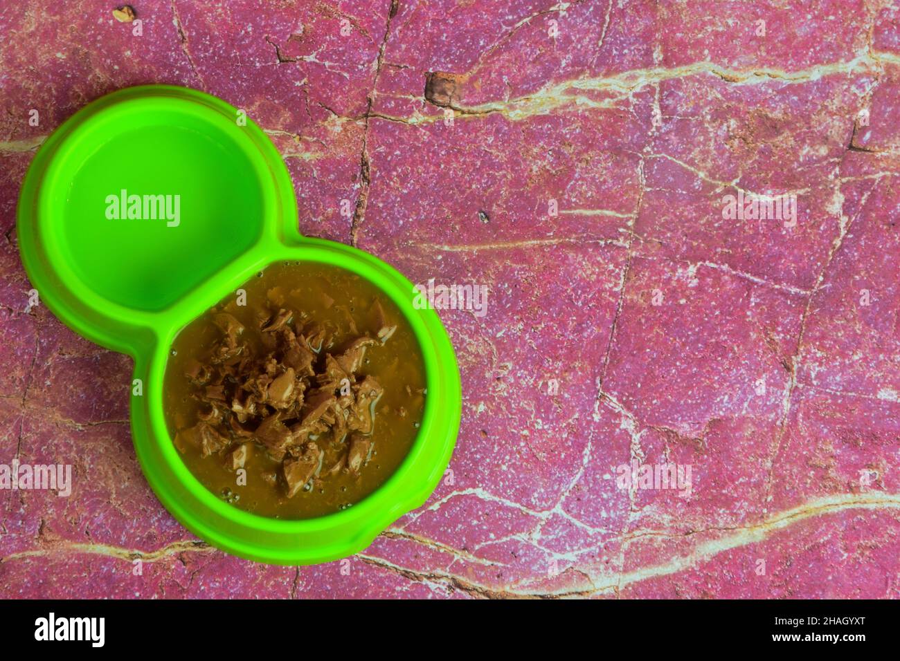 Vor einem Hintergrund aus grauen Holzbrettern liegt eine grüne Kunststoffplatte, gefüllt mit Trockenfutter, um Katzen oder Hunde zu füttern. Es gibt einen Platz auf der rechten Seite Stockfoto
