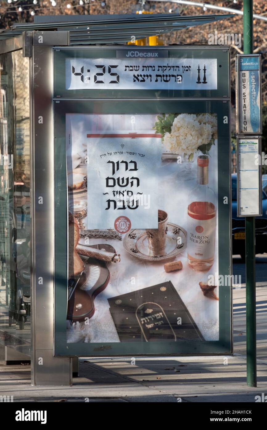 Ein JC Decaux Bus-Kiosk mit einer hebräischen Anzeige für koscheren Wein und Nachrichten über die bevorstehende Kerzenbeleuchtung des Sabbats und Torah-Lesung. In Williamsburg, NYC Stockfoto