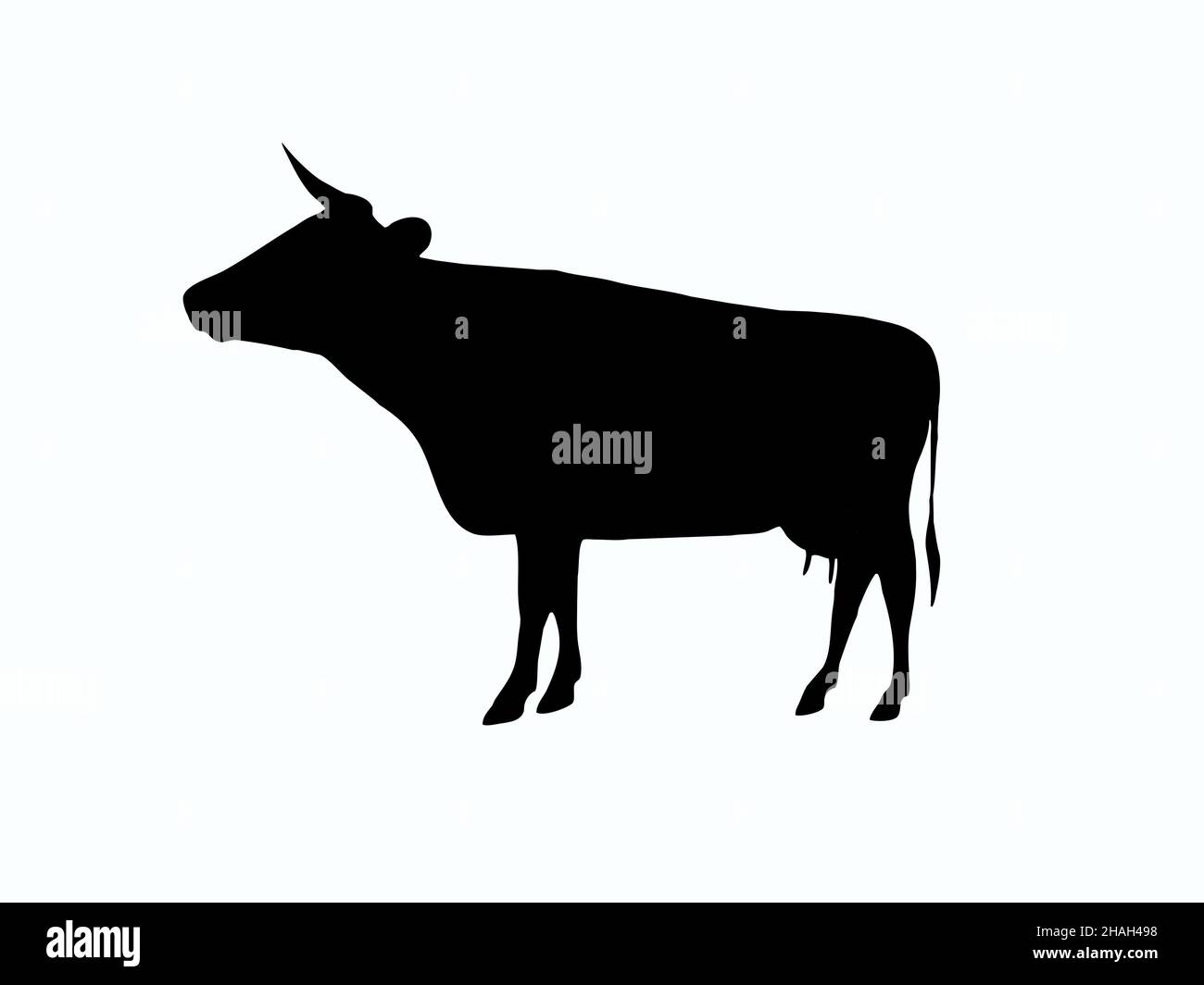 Schwarze Abbildung der Kuhform auf weißem Hintergrund in der Mitte des Rahmens Stockfoto