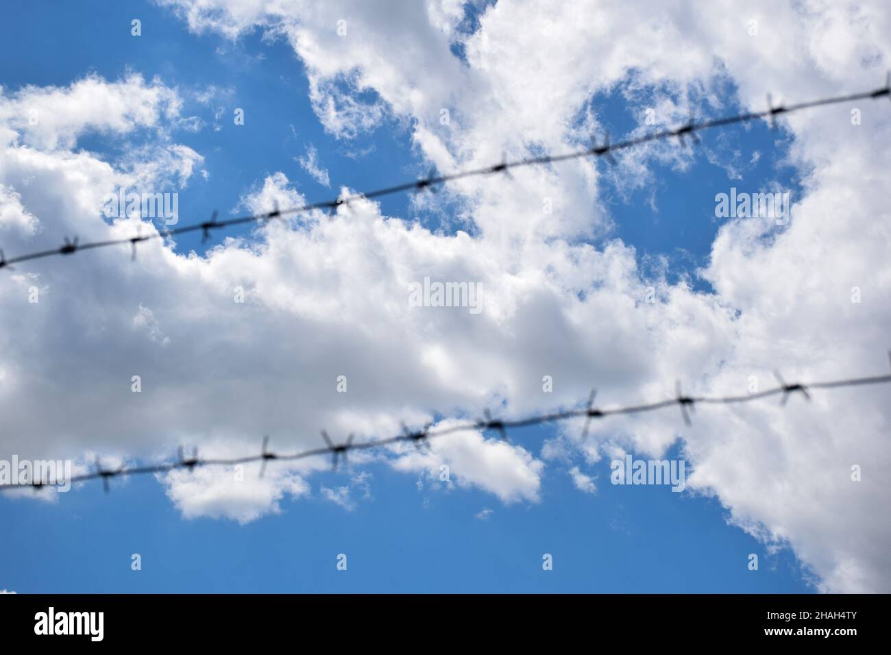 Im Vordergrund stehen zwei Reihen Stacheldraht an einem hellblauen Himmel mit weißen Wolken. Der Draht ist sehr unscharf Stockfoto