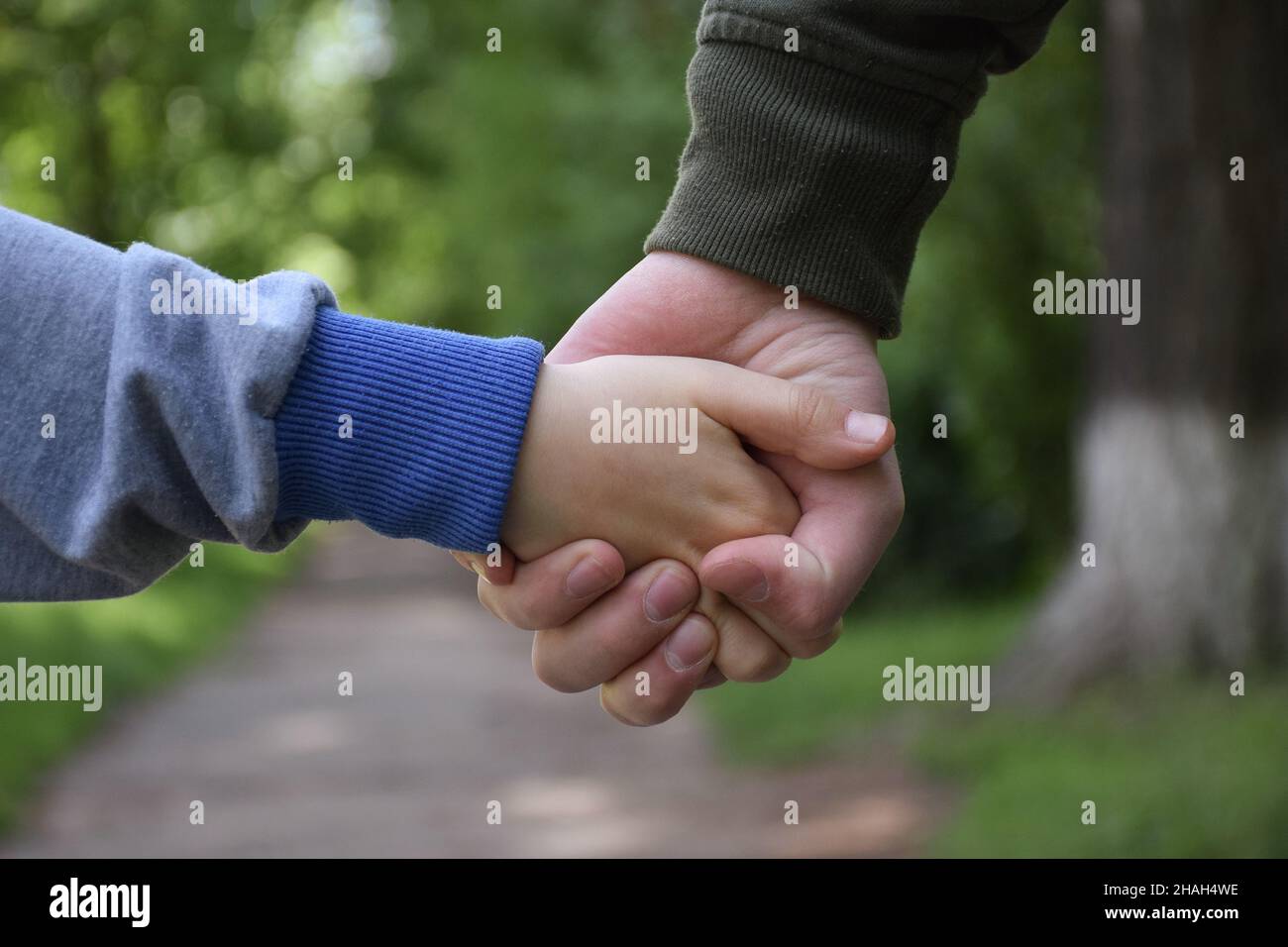 Kind und Erwachsener halten sich die Hände. Nur Hände sind auf der Vorderseite des Parks aus der Nähe zu sehen Stockfoto