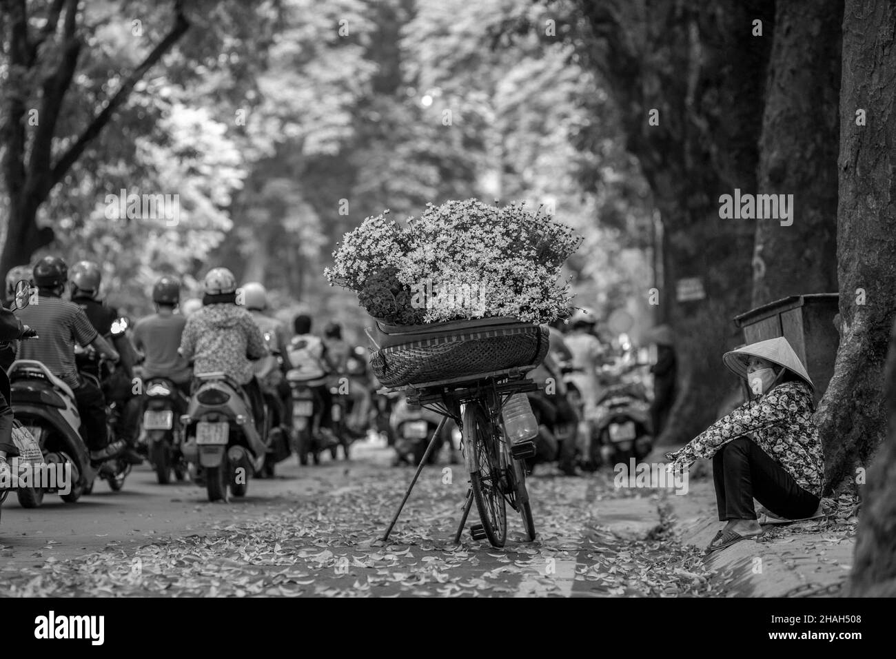 Street Food Straßenhändler in Hanoi sind eine idyllische, rustikale Schönheit, die aus dem Arbeitsprozess armer Menschen entsteht. Hinter diesen Lasten steckt eine Geschichte, eine Stockfoto