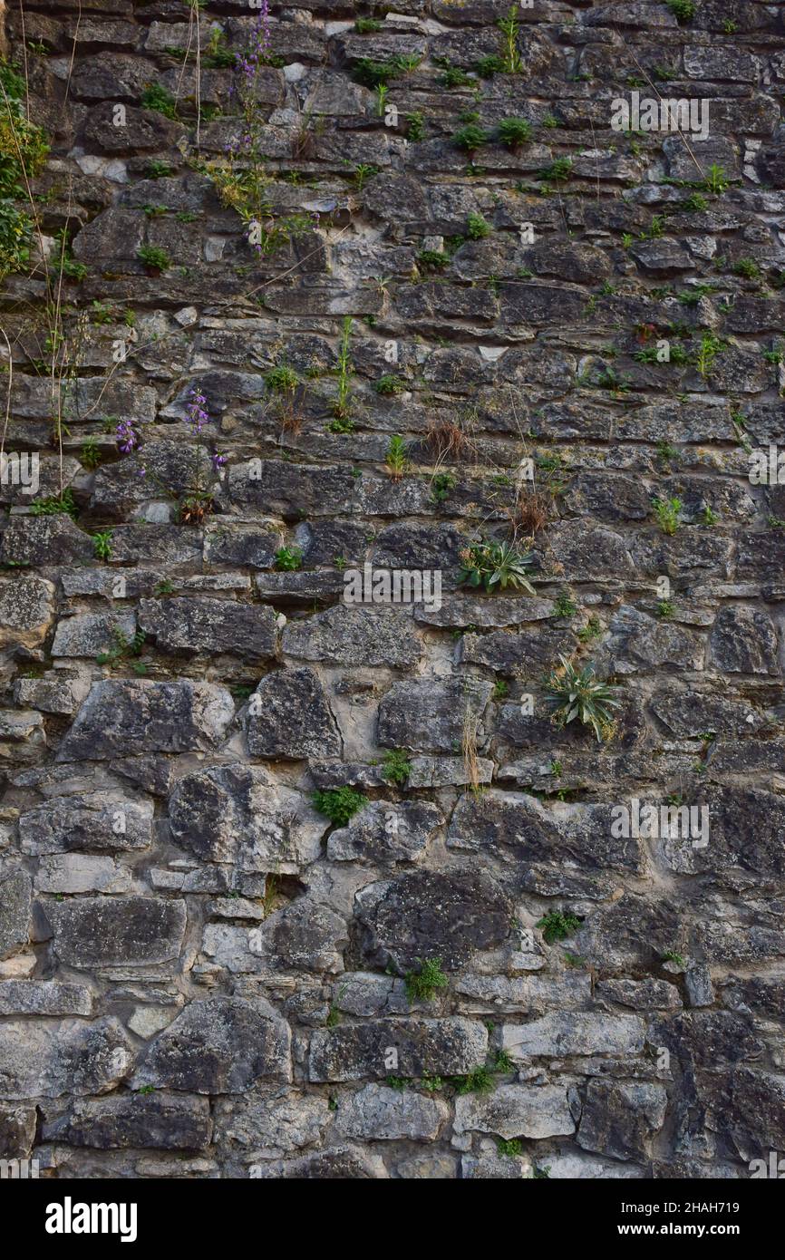 Ein alter Bürgersteig, der mit Kopfsteinpflaster verschiedener Größen und Formen gesäumt ist, durch den oben am Rahmen Gras sprießt Stockfoto