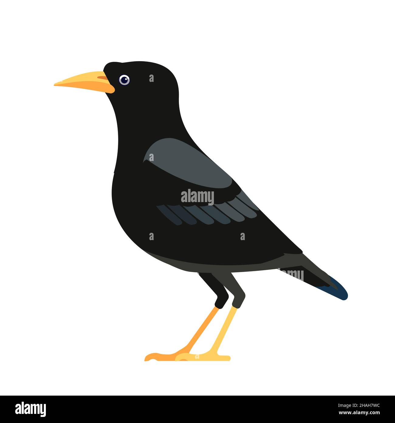 Amsel ist eine Art echter Drossel. Eurasische Amsel. Turdus merula. Schwarzer Vogel Cartoon flacher Stil Charakter der Ornithologie, Vektor Stock Vektor