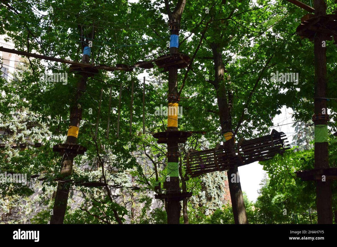 Im Sommerwald, ein Sport-Seilpark Unterhaltung mit Hängebrücken, Übergänge zwischen Bäumen gebunden Stockfoto
