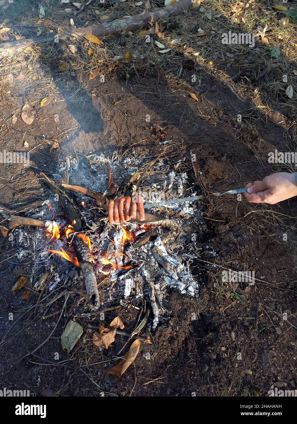 Mehrere Würste werden auf einem Spieß über einem Feuer über Holzkohle gebraten. Der Spieß hält die Hand einer nicht erkennbaren Person Stockfoto