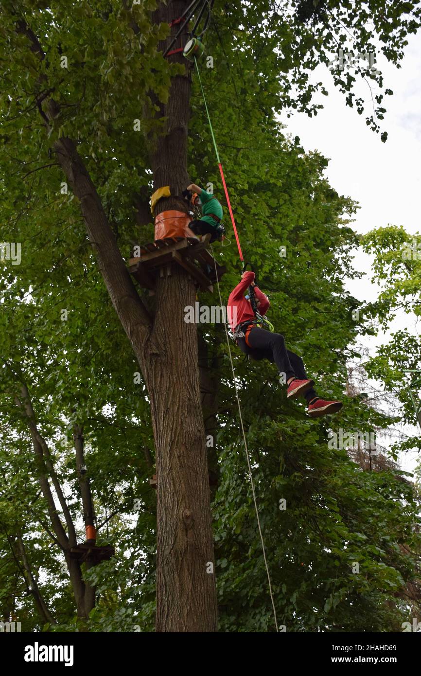 Ein Teenager in einem Schutzhelm klettert in einem Seilpark auf eine Hängeleiter Stockfoto