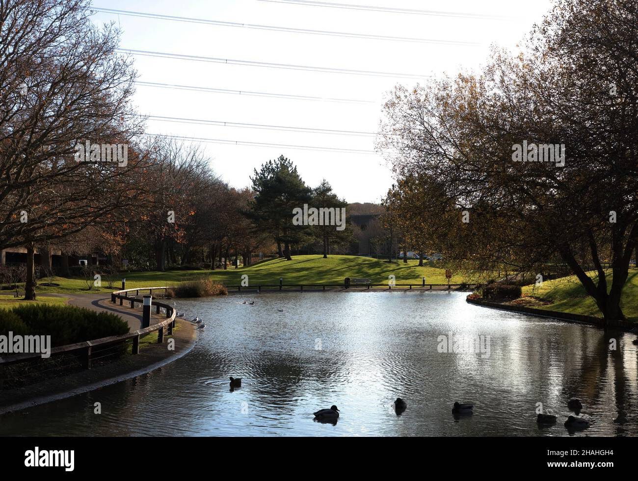 Die Energie wird über Hochspannungskabel bereitgestellt, die über einem See im Solent Business Park, Whiteley, Hampshire, Großbritannien, gesehen werden. Stockfoto