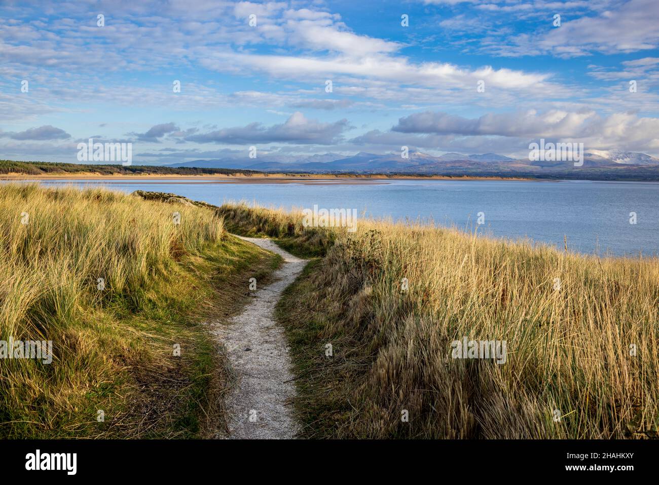 Entlang des Fußweges auf Llanddwyn Island mit den Snowdonia Mountains in der Ferne, Isle of Anglesey, Nordwales Stockfoto