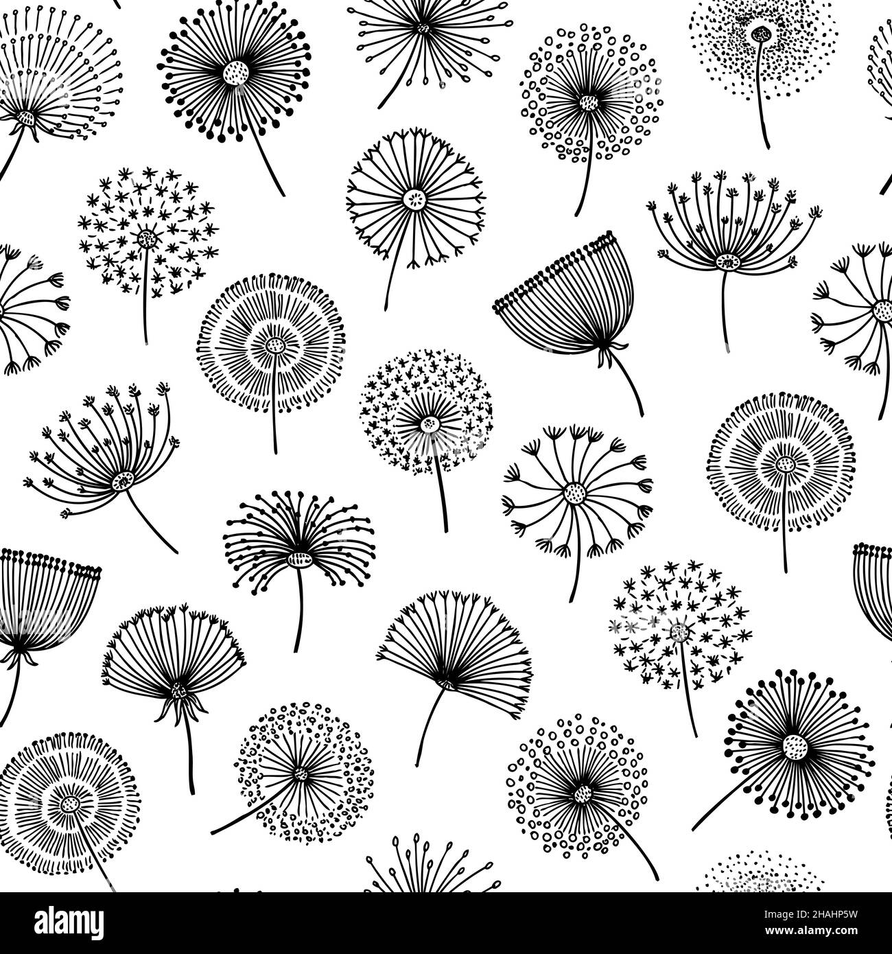Dandelion mit Blumenmuster. Schwarze, grafische, abstrakte Blumen. Natürlicher botanischer Druck, Vintage blühend dekoratives neoterisches Vektor nahtloses Muster Stock Vektor
